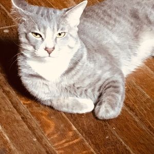 Meet your Posher, Denise